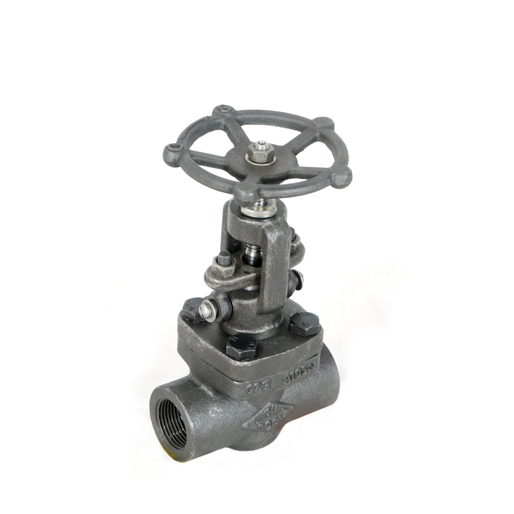 Forge Globe Valve