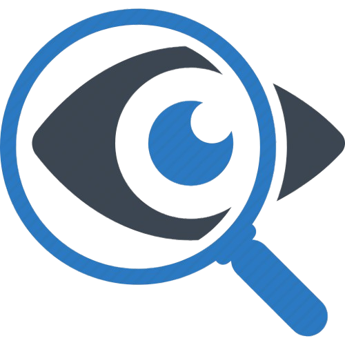 Vision Icon